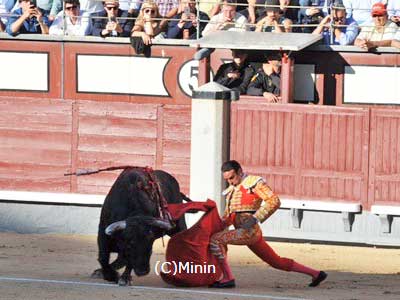 闘牛の観光・オプショナルツアー一覧